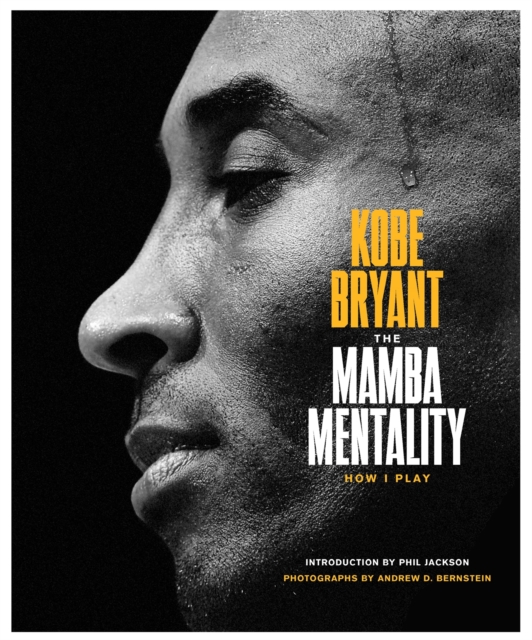 9780374201234.jpg cover